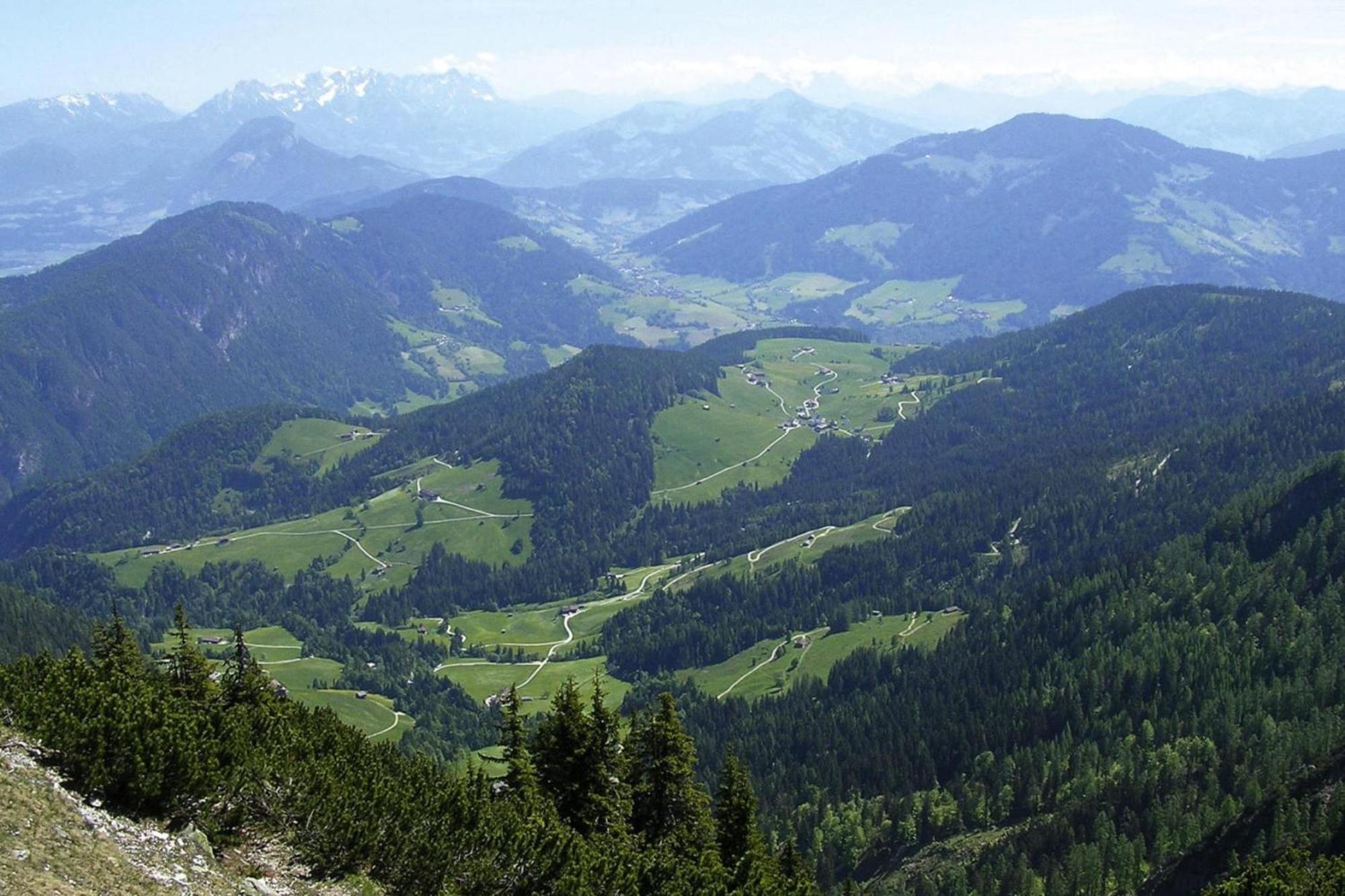 Apartments Schatzberg-Haus, Wildschoenau-Auffach Eksteriør billede
