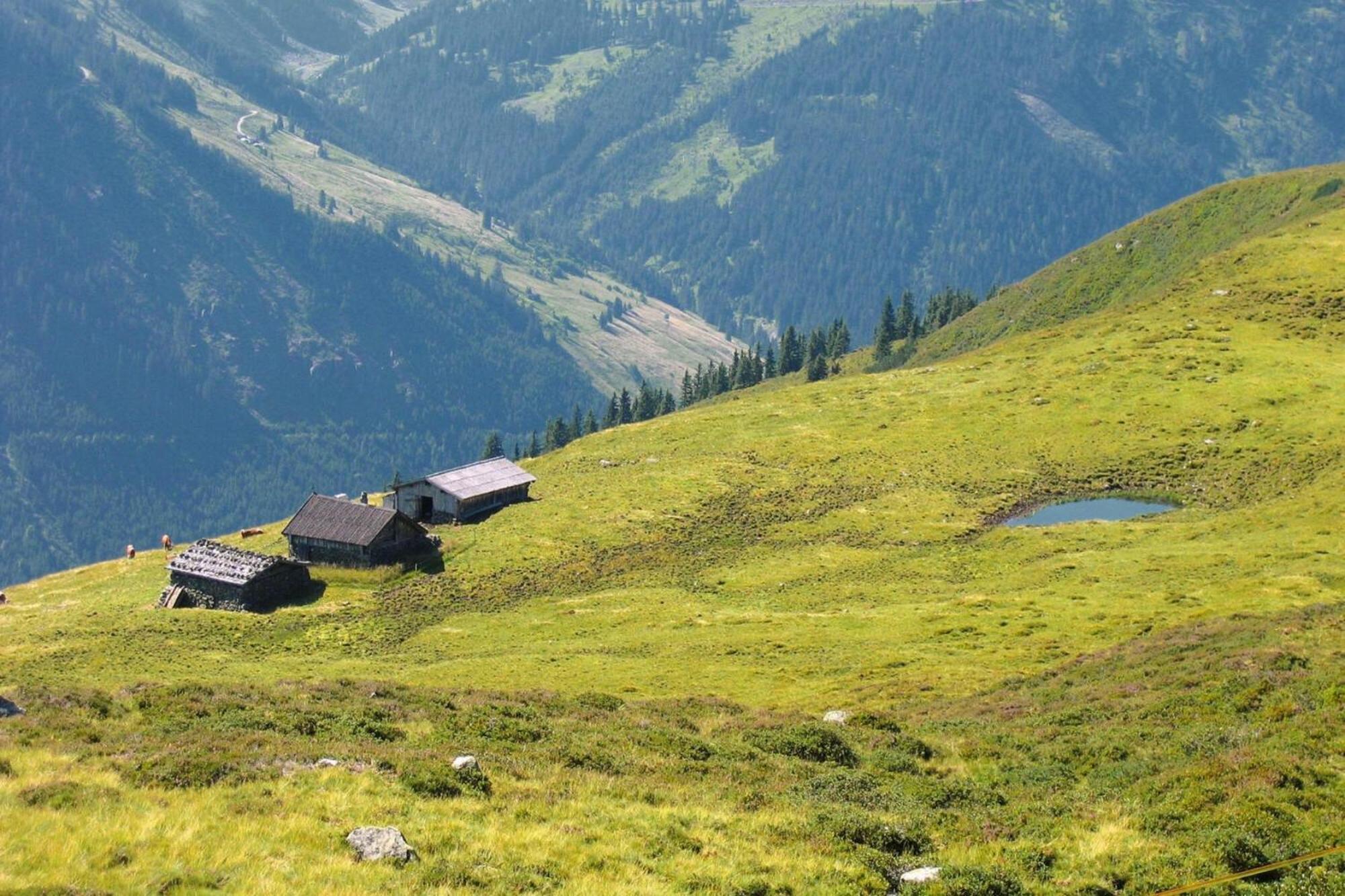 Apartments Schatzberg-Haus, Wildschoenau-Auffach Eksteriør billede