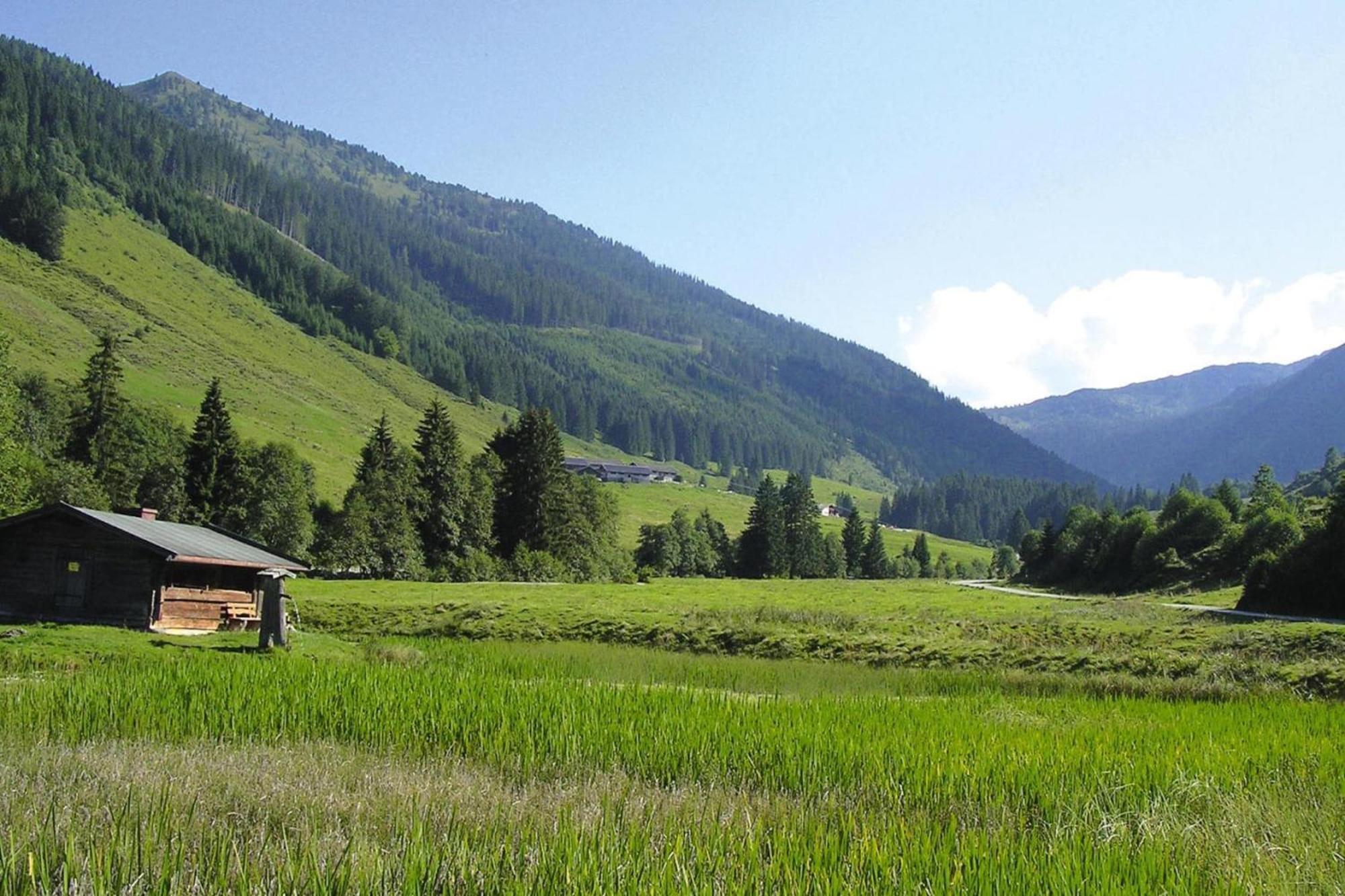 Apartments Schatzberg-Haus, Wildschoenau-Auffach Eksteriør billede