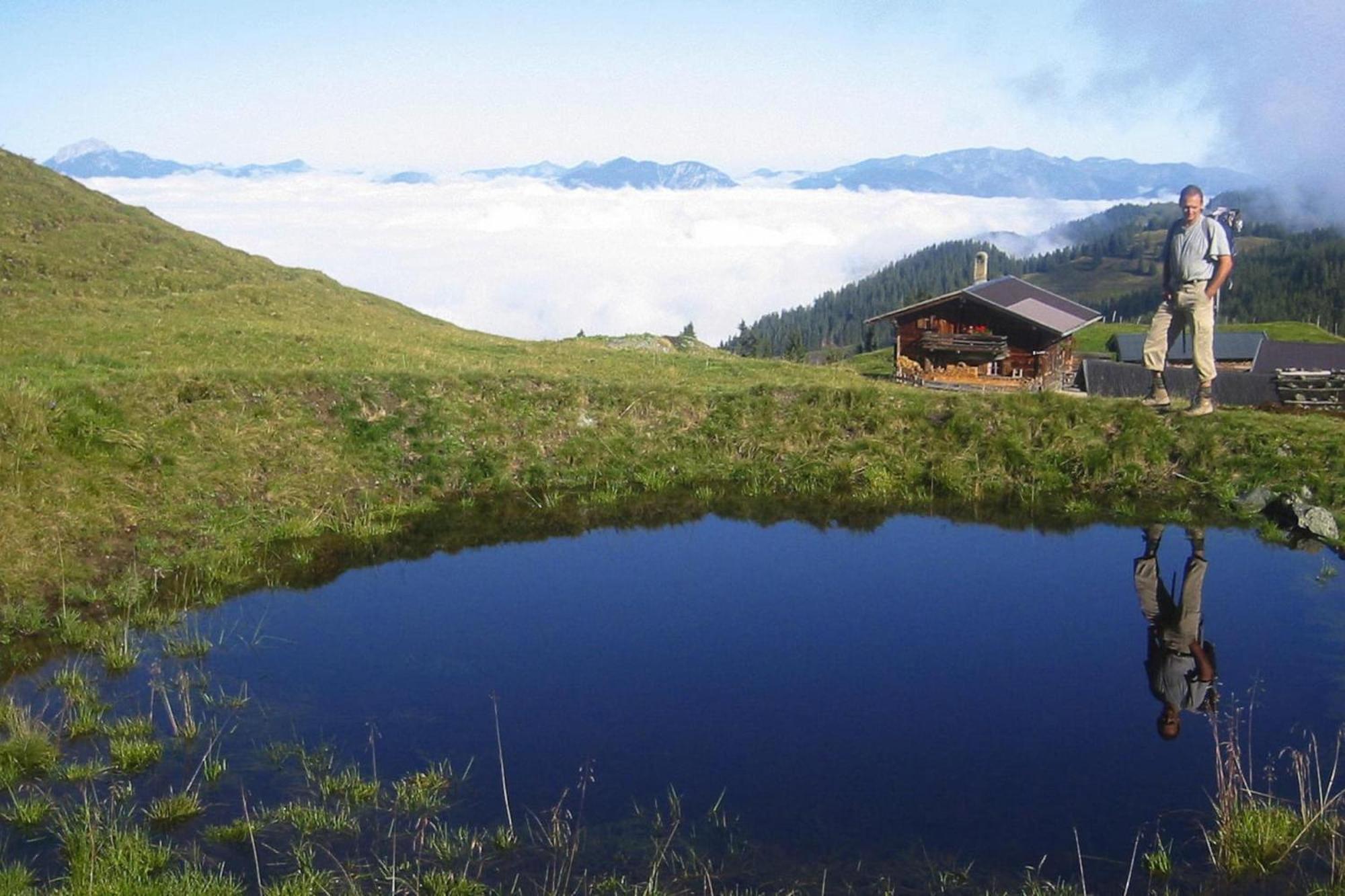 Apartments Schatzberg-Haus, Wildschoenau-Auffach Eksteriør billede